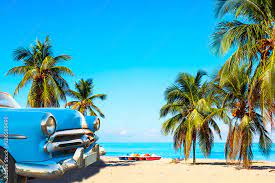 Lost in Cuba w/ Cyn