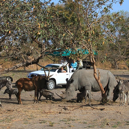 Senegal & Gambia